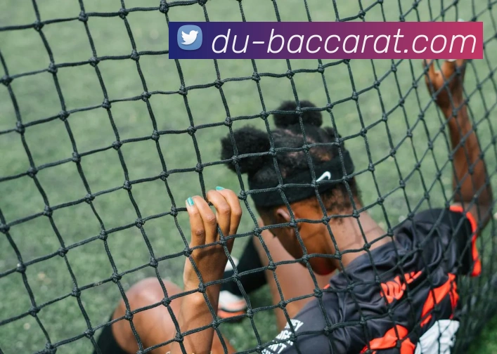 百家乐官网发展历程