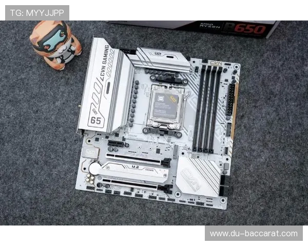 便宜显卡搭配高性价比cpu畅玩热门游戏的入门级硬件组合推荐